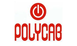 Strategic Partner Logo 30